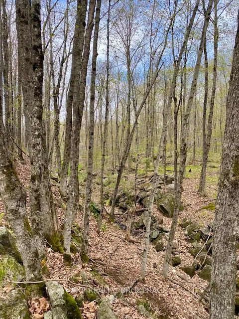 Photo 9 of 10914 County Road 38, Central Frontenac, Frontenac Centre — HOMEH