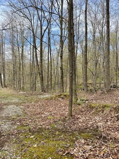 Photo 10 of 10914 County Road 38, Central Frontenac, Frontenac Centre — HOMEH