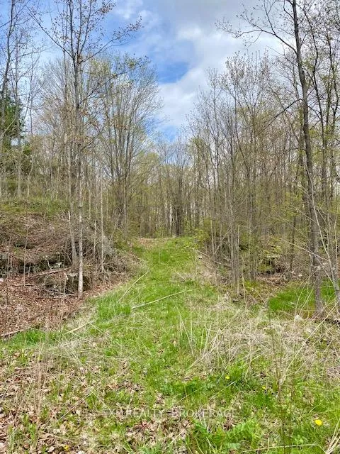 Photo 11 of 10914 County Road 38, Central Frontenac, Frontenac Centre — HOMEH