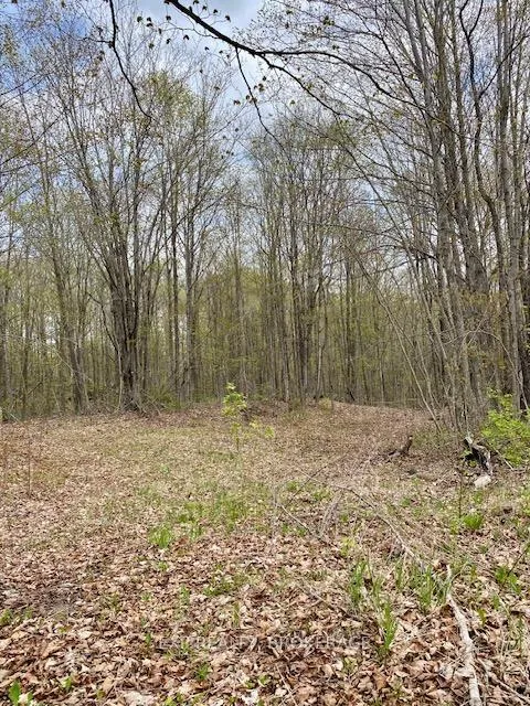 Photo 12 of 10914 County Road 38, Central Frontenac, Frontenac Centre — HOMEH