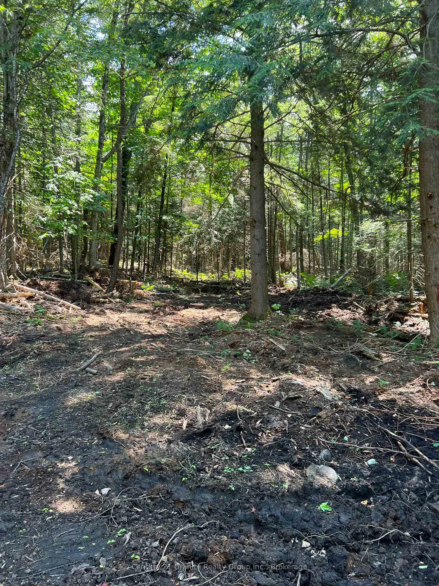 Photo of LOT 29 West Court