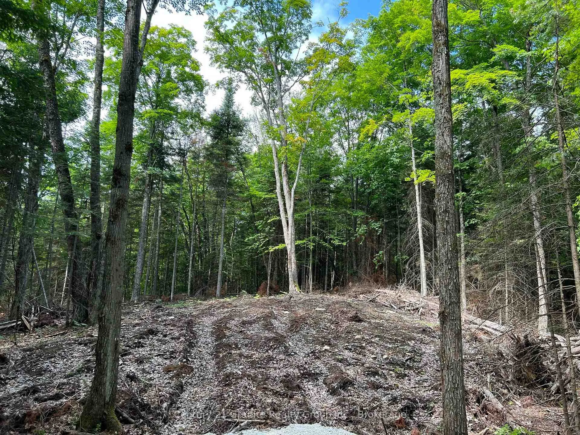 Photo of LOT 26 West Court