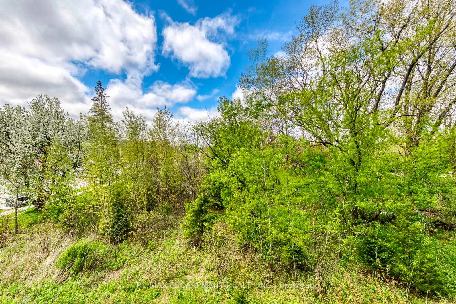 Photo 31 of Unit 217, 33 Whitmer Street, Milton, Scott — HOMEH
