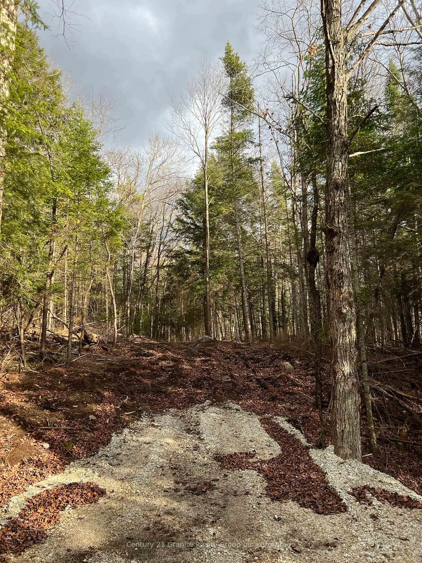 Photo of LOT 27 Bushwolf Lake Road