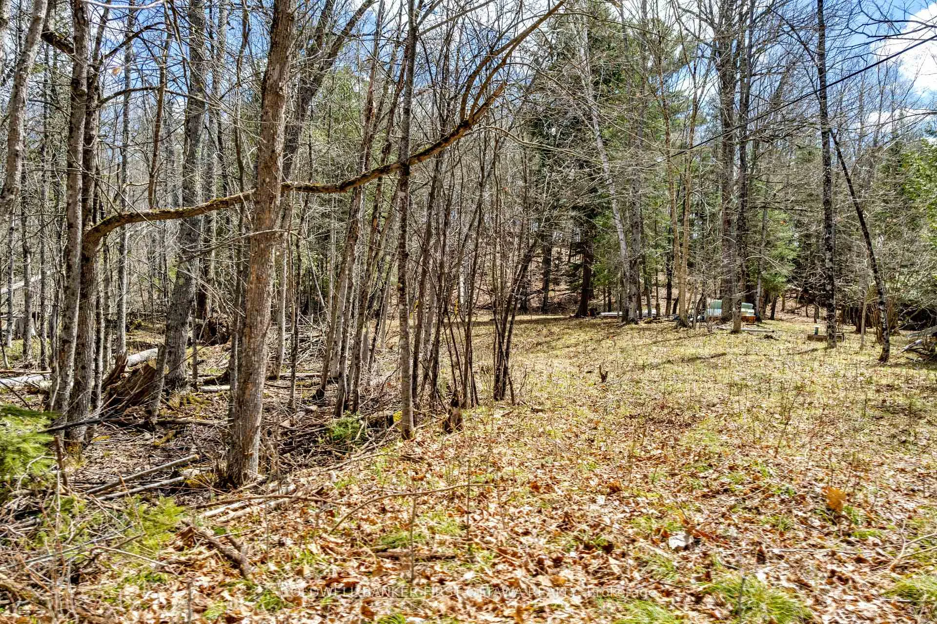 Photo 5 of 621 North Shore Rd, Lanark Highlands, Lanark Highlands (Dalhousie) Twp — HOMEH