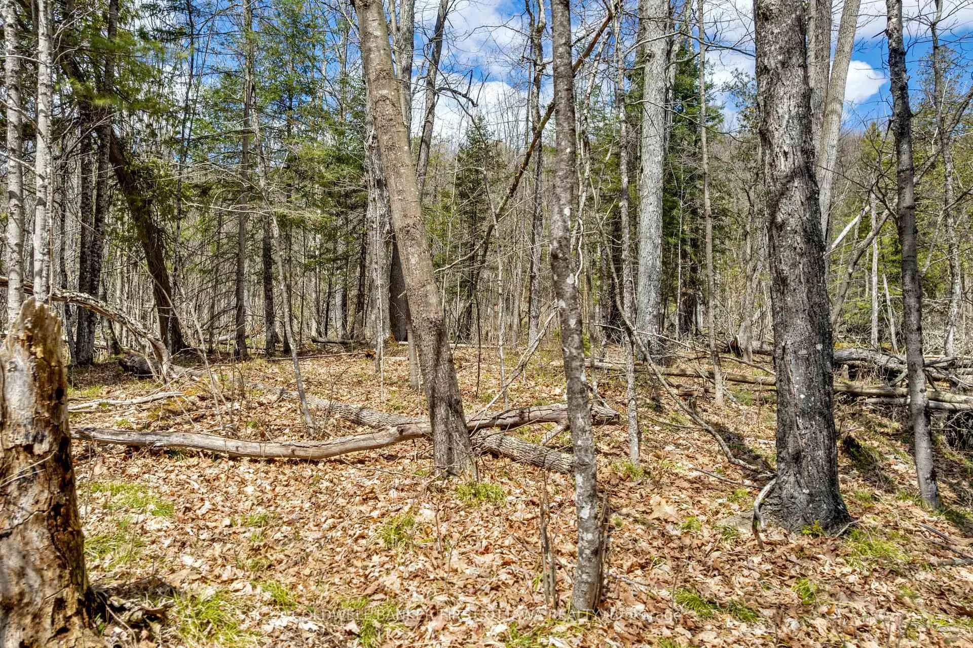 Photo 6 of 621 North Shore Rd, Lanark Highlands, Lanark Highlands (Dalhousie) Twp — HOMEH