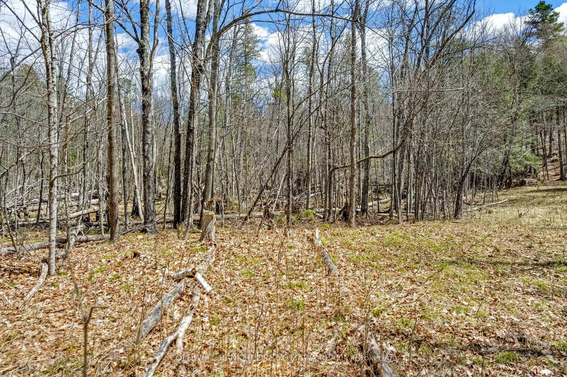 Photo 7 of 621 North Shore Rd, Lanark Highlands, Lanark Highlands (Dalhousie) Twp — HOMEH