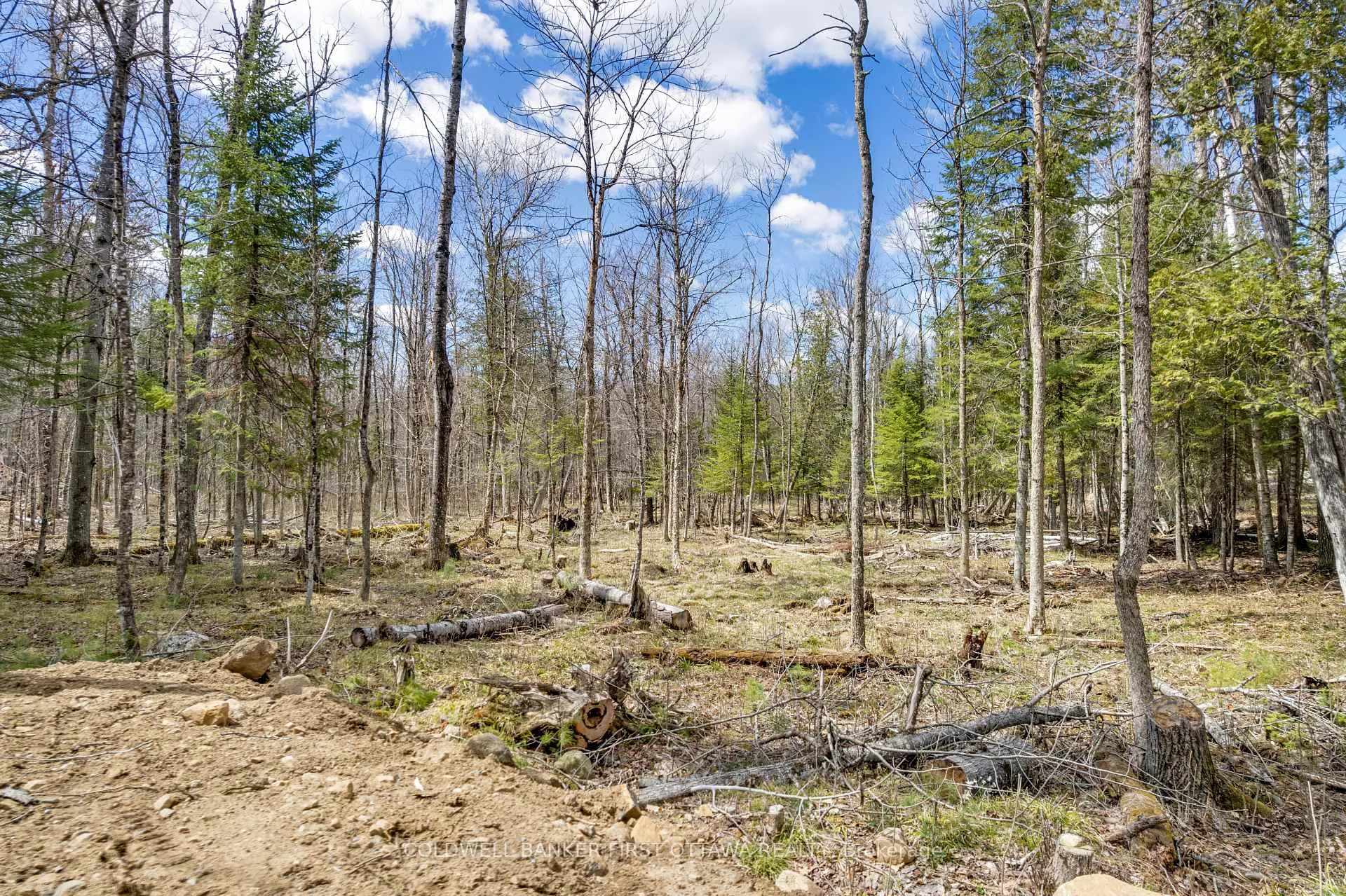 Photo 13 of 621 North Shore Rd, Lanark Highlands, Lanark Highlands (Dalhousie) Twp — HOMEH