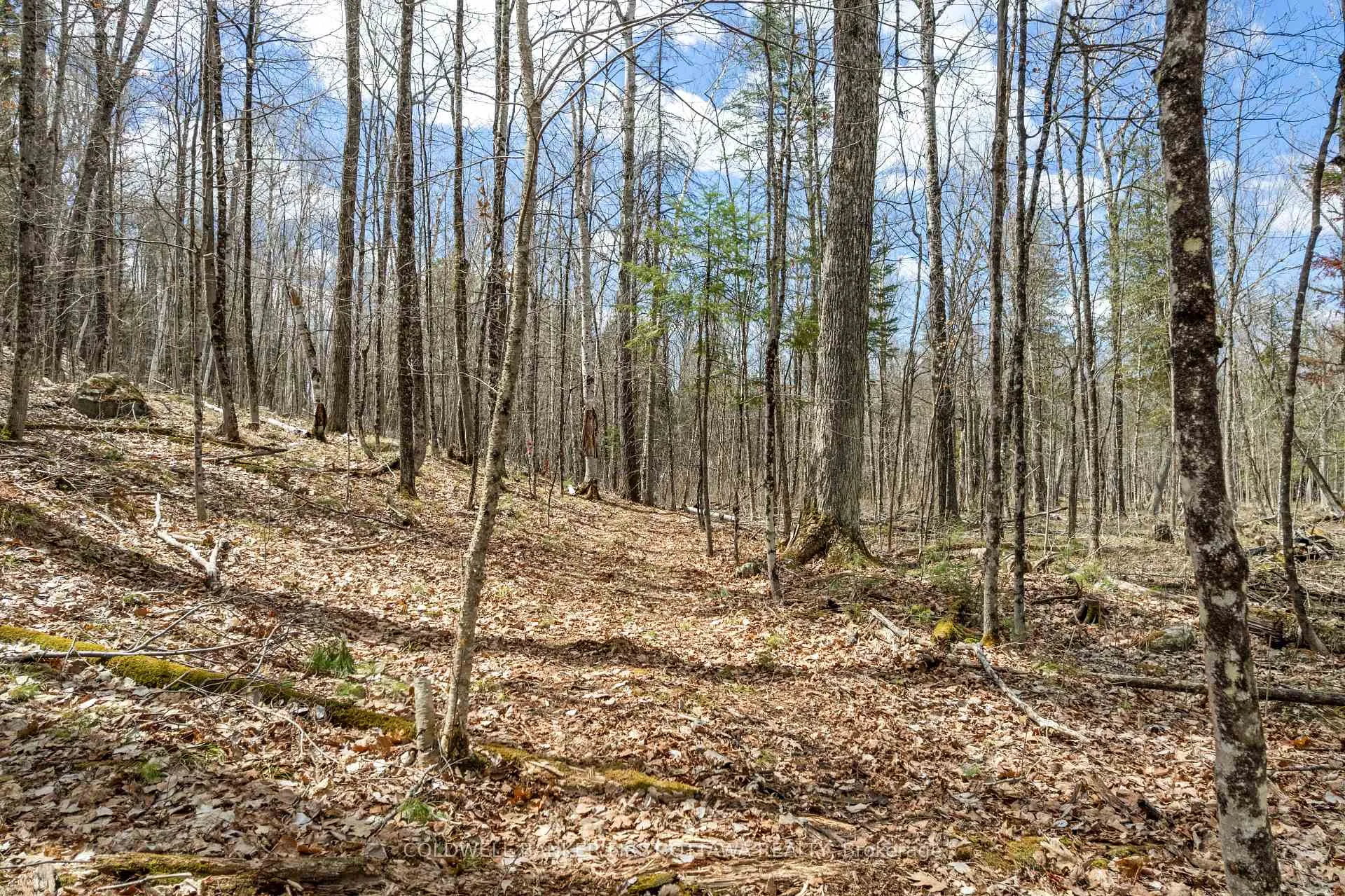 Photo 14 of 621 North Shore Rd, Lanark Highlands, Lanark Highlands (Dalhousie) Twp — HOMEH