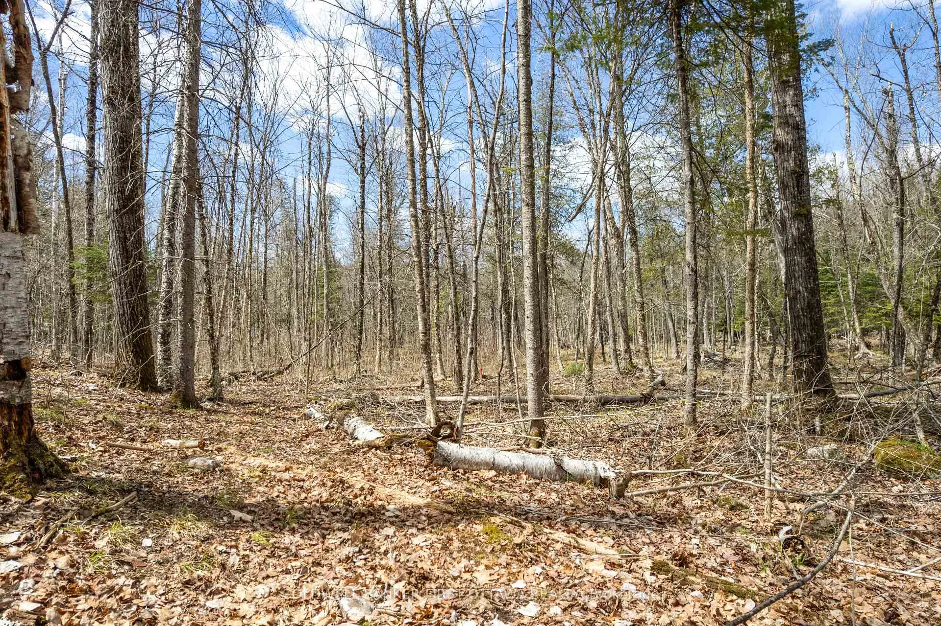 Photo 15 of 621 North Shore Rd, Lanark Highlands, Lanark Highlands (Dalhousie) Twp — HOMEH