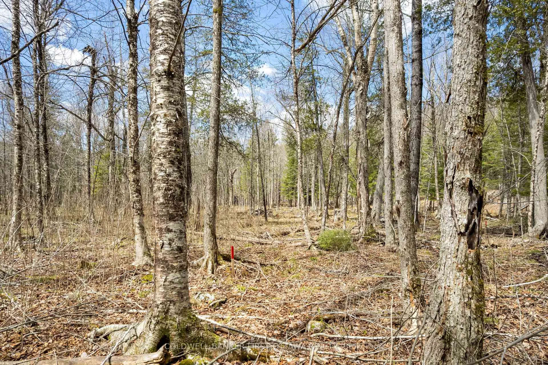 Photo 16 of 621 North Shore Rd, Lanark Highlands, Lanark Highlands (Dalhousie) Twp — HOMEH