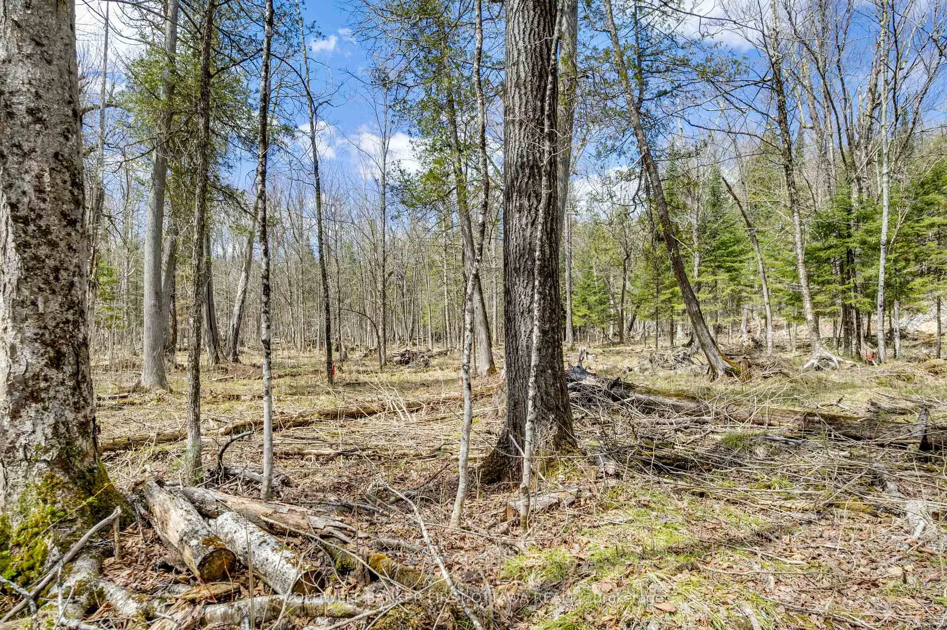 Photo 17 of 621 North Shore Rd, Lanark Highlands, Lanark Highlands (Dalhousie) Twp — HOMEH