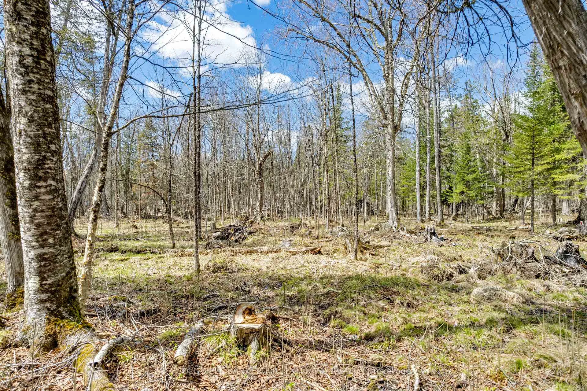 Photo 18 of 621 North Shore Rd, Lanark Highlands, Lanark Highlands (Dalhousie) Twp — HOMEH