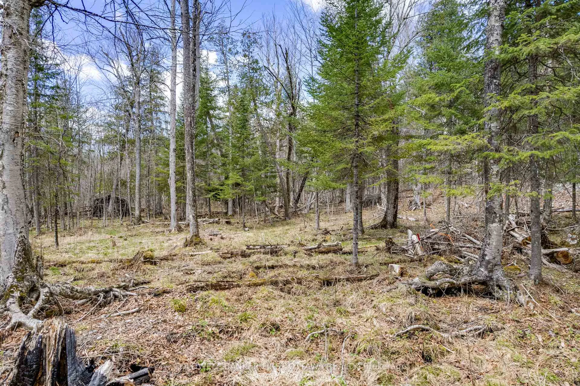 Photo 19 of 621 North Shore Rd, Lanark Highlands, Lanark Highlands (Dalhousie) Twp — HOMEH