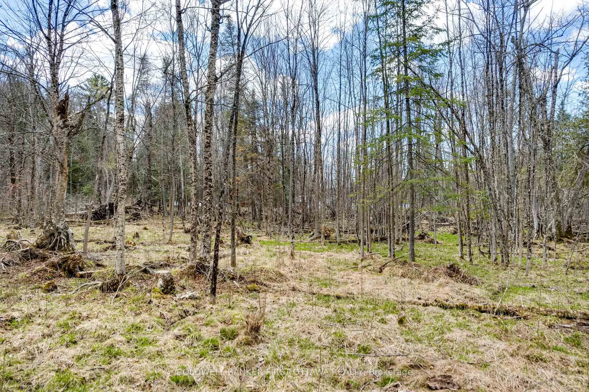 Photo 20 of 621 North Shore Rd, Lanark Highlands, Lanark Highlands (Dalhousie) Twp — HOMEH