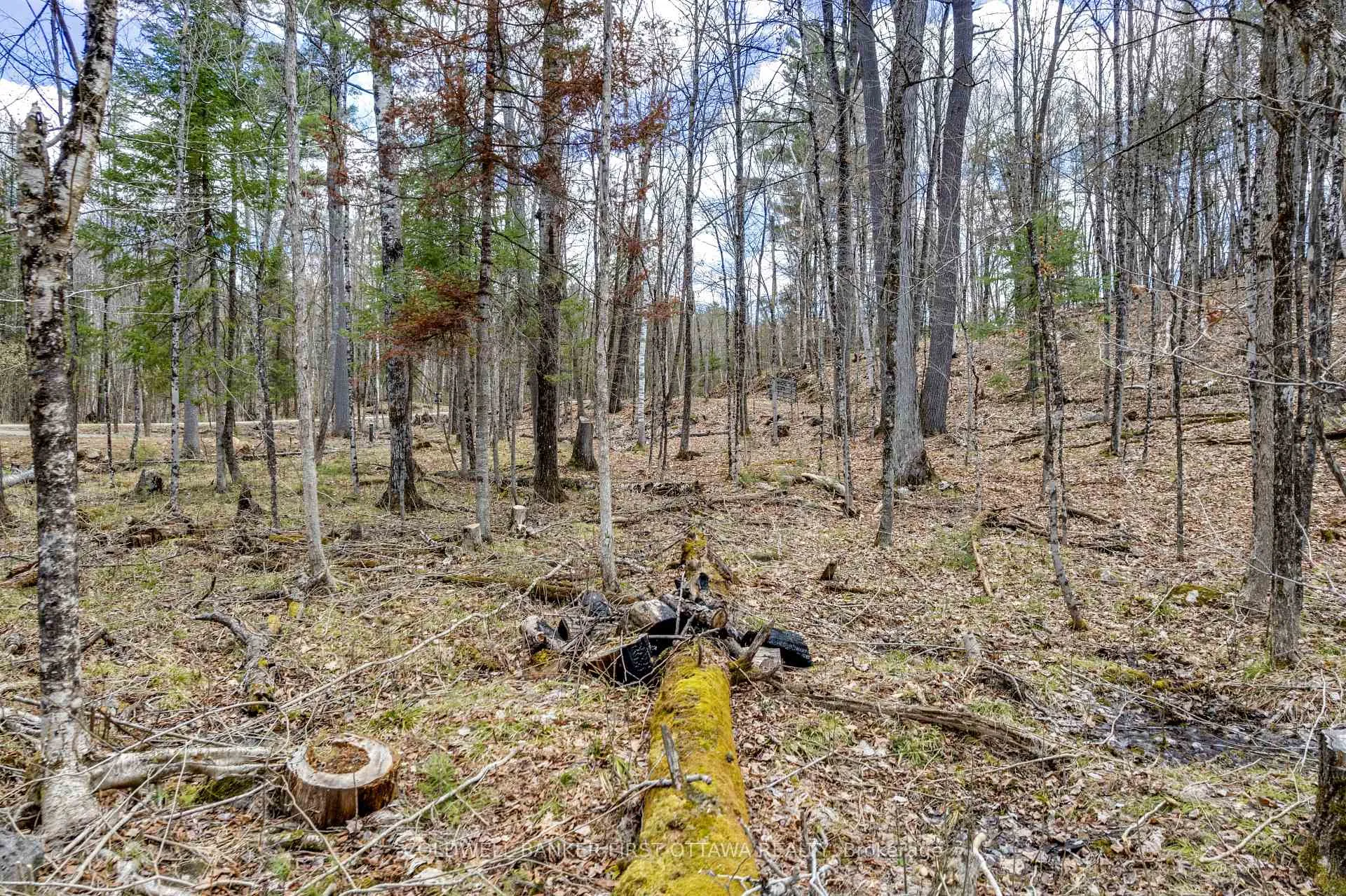 Photo 21 of 621 North Shore Rd, Lanark Highlands, Lanark Highlands (Dalhousie) Twp — HOMEH