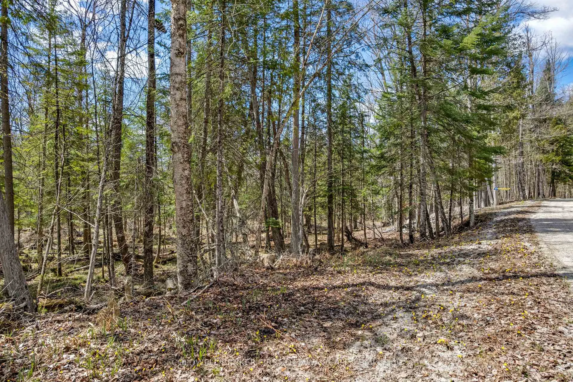 Photo 24 of 621 North Shore Rd, Lanark Highlands, Lanark Highlands (Dalhousie) Twp — HOMEH