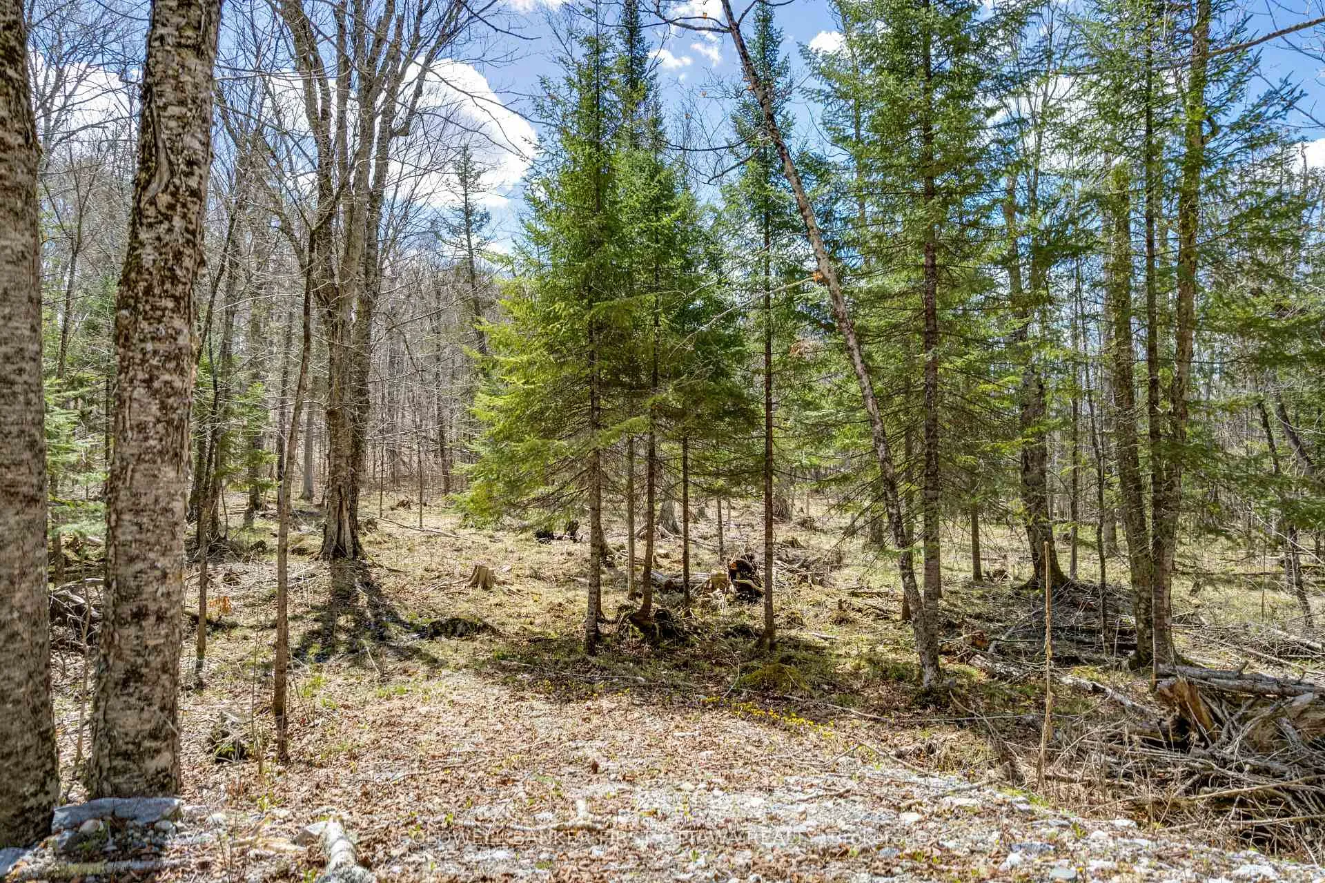 Photo 27 of 621 North Shore Rd, Lanark Highlands, Lanark Highlands (Dalhousie) Twp — HOMEH
