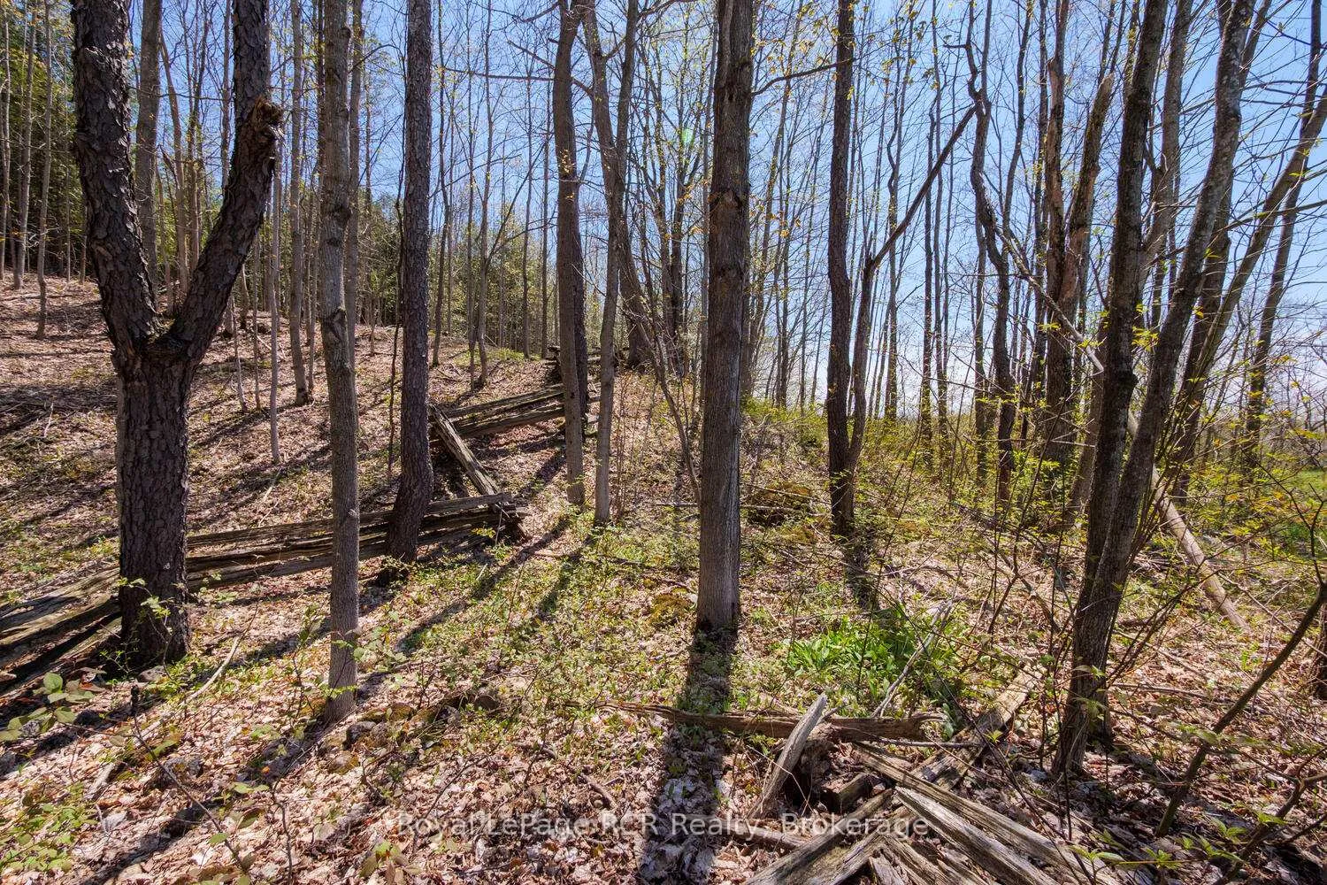 Photo 41 of 384317 Concession 4, West Grey — HOMEH