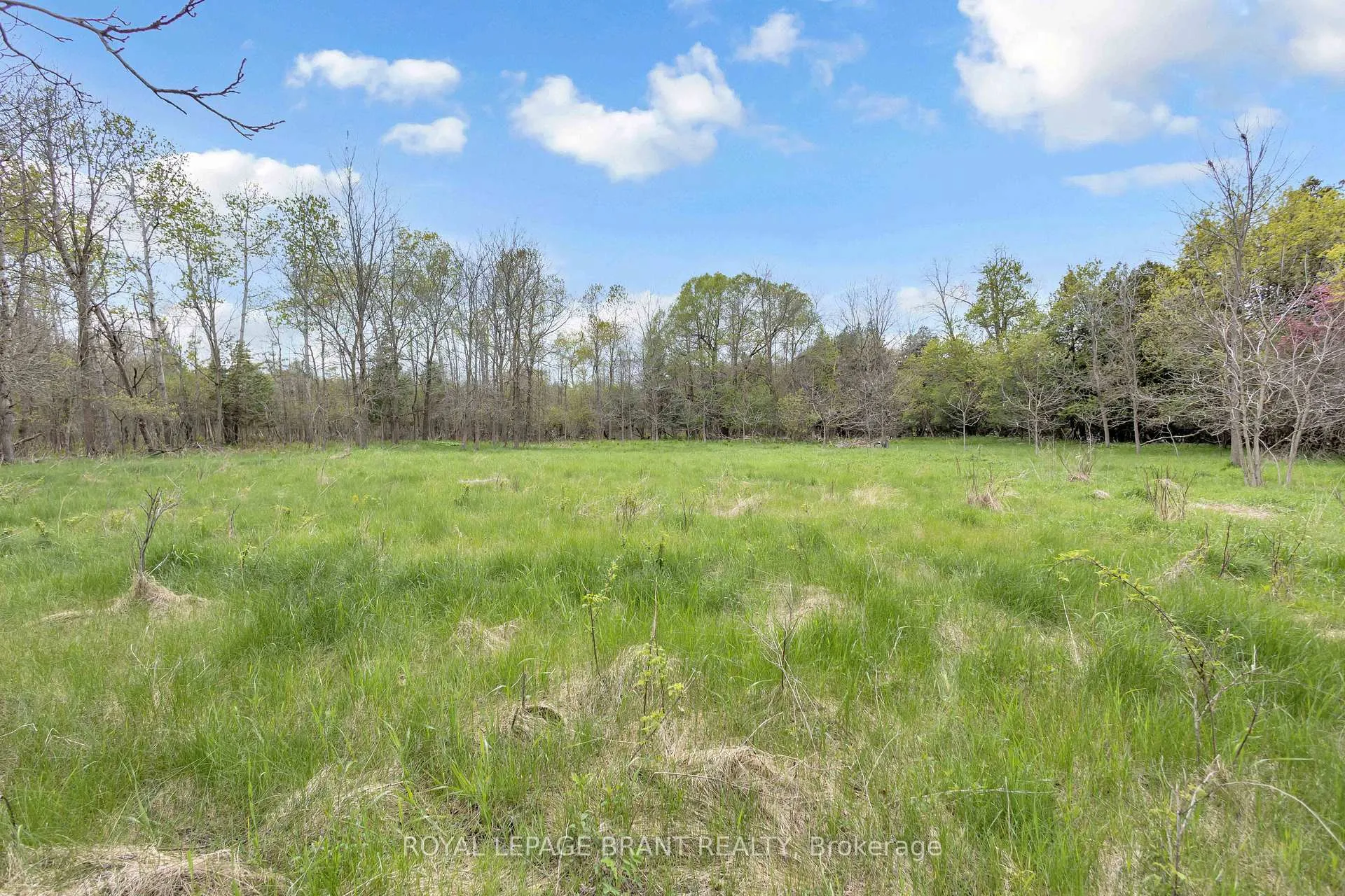 Photo 38 of 10 Burnside Drive, Brant, South Dumfries — HOMEH