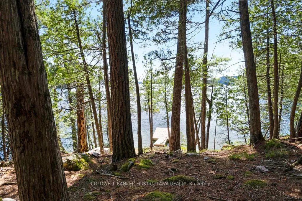 Photo 15 of 000 Palmerston Lake, Frontenac, Frontenac North — HOMEH