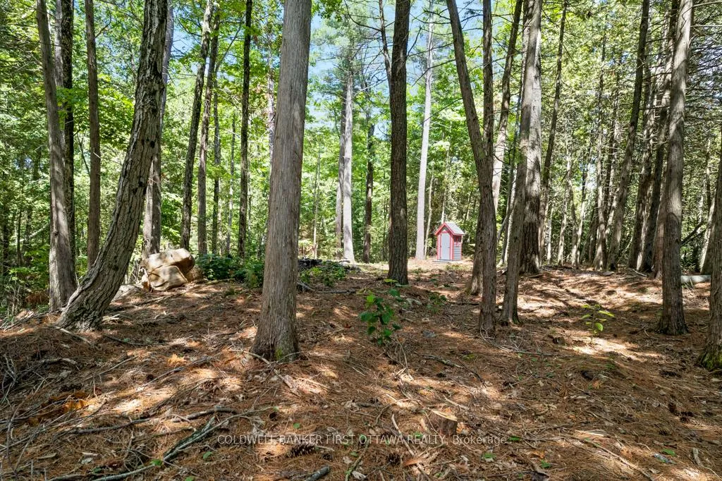 Photo 17 of 000 Palmerston Lake, Frontenac, Frontenac North — HOMEH