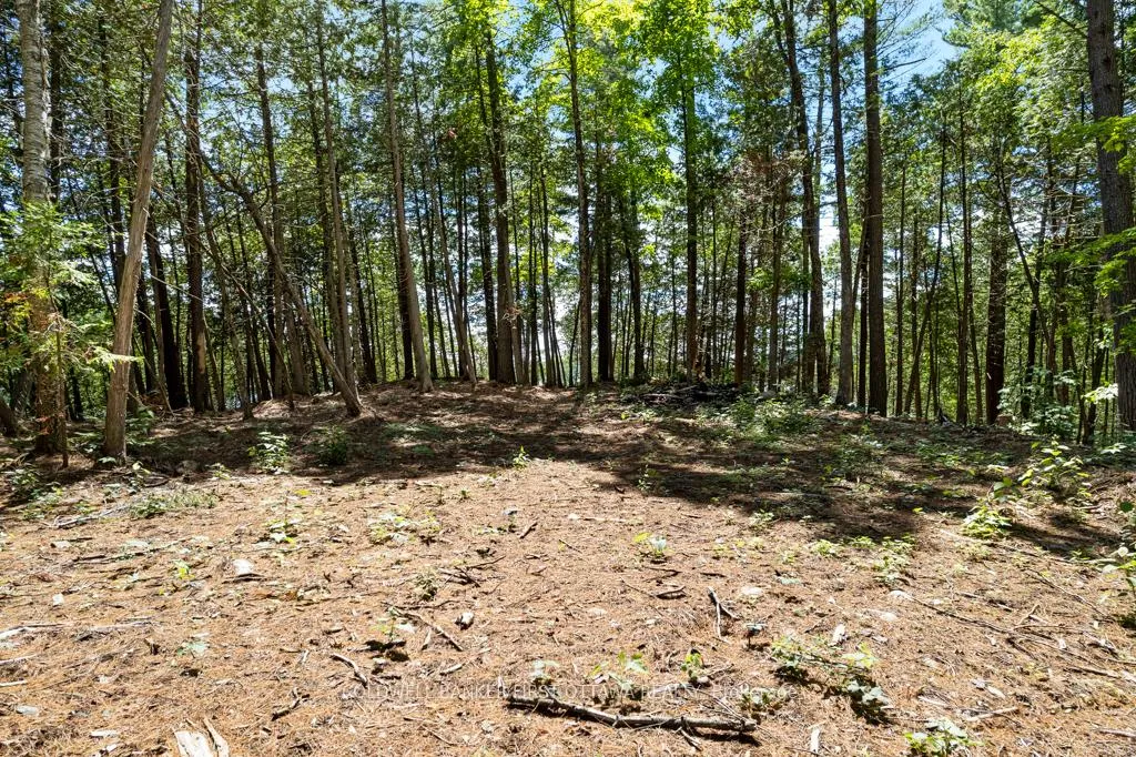 Photo 22 of 000 Palmerston Lake, Frontenac, Frontenac North — HOMEH