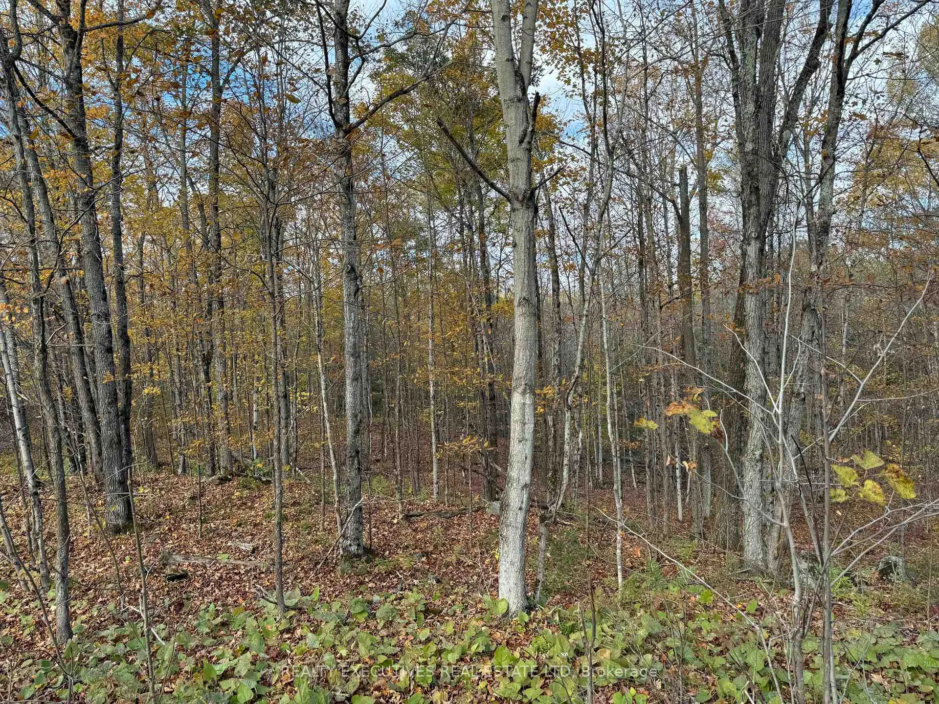 Photo 4 of 0000 Baker Valley Road, Frontenac, Frontenac Centre — HOMEH