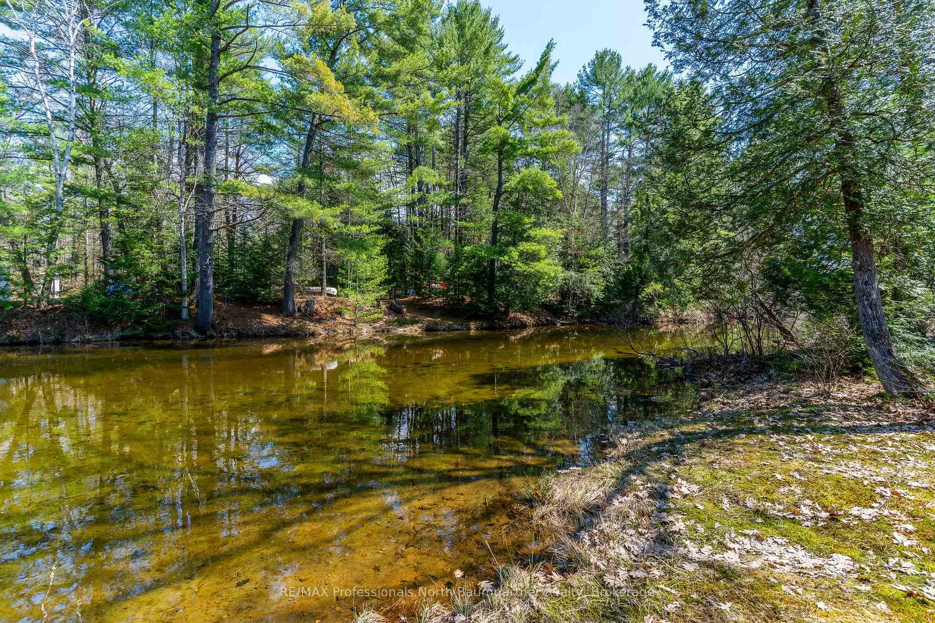 Photo 47 of 1065 Cloverleaf Road, Algonquin Highlands, Stanhope — HOMEH