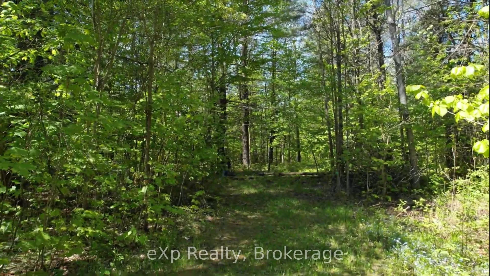 Photo 7 of 26 Magnet Road, Magnetawan, Ahmic Harbour — HOMEH