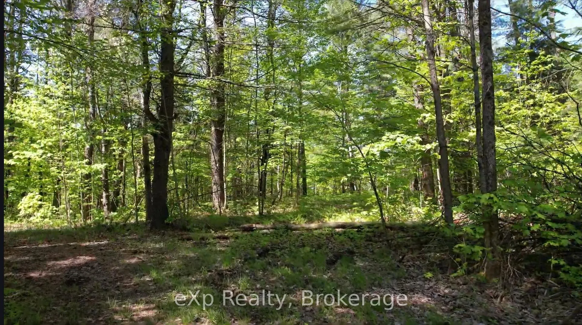 Photo 8 of 26 Magnet Road, Magnetawan, Ahmic Harbour — HOMEH