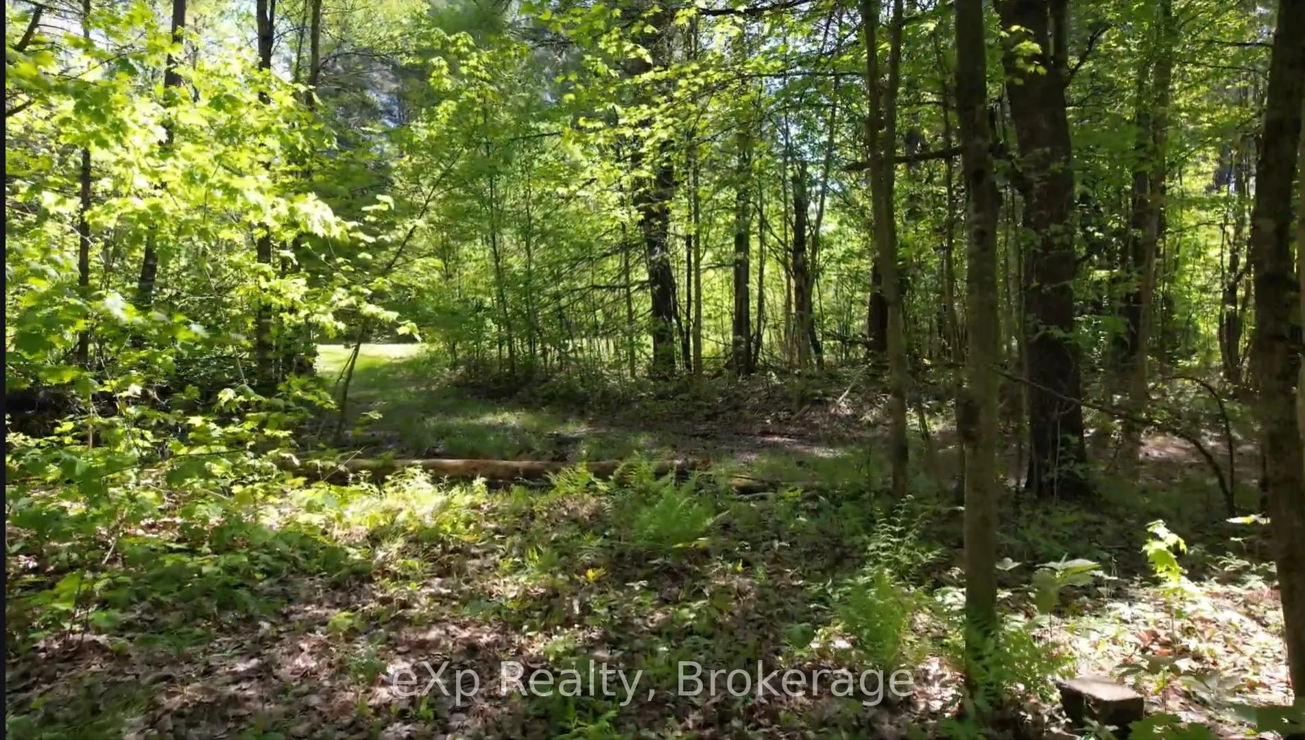 Photo 10 of 26 Magnet Road, Magnetawan, Ahmic Harbour — HOMEH