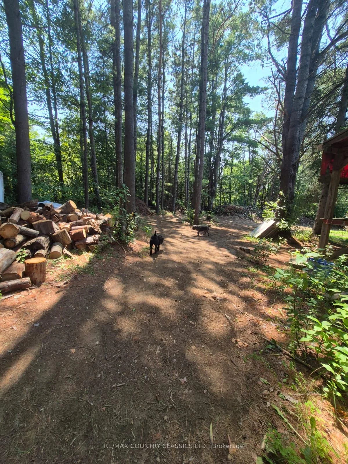 Photo 56 of 29840 62 Highway, Hastings Highlands, Herschel Ward — HOMEH