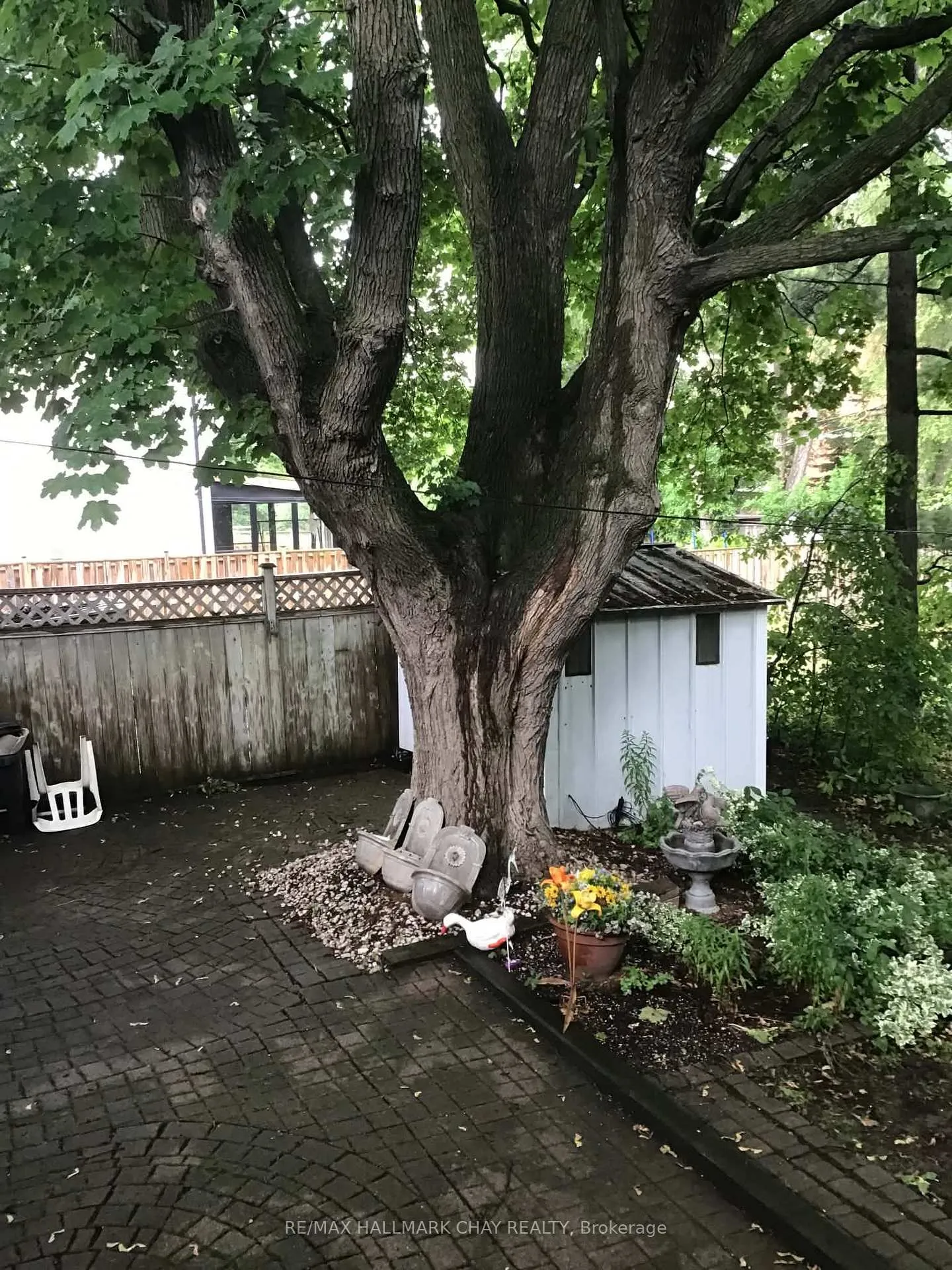 Photo 5 of 27 Elfreda Boulevard, Scarborough, Clairlea-Birchmount — HOMEH