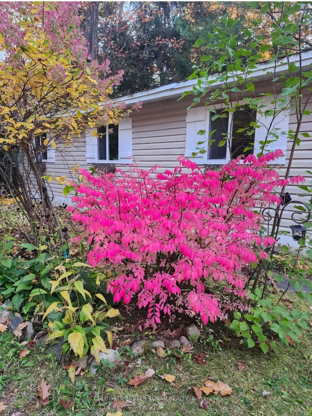 Photo 31 of Unit 23, 1007 Racoon Road, Gravenhurst, Morrison — HOMEH