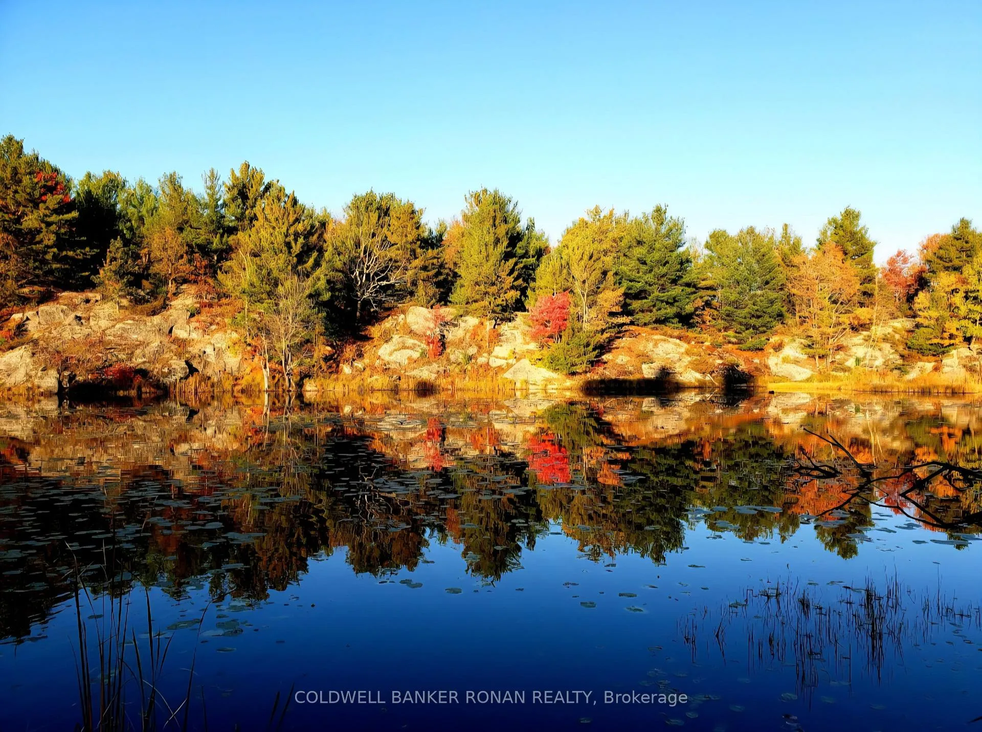 Photo 50 of Unit 23, 1007 Racoon Road, Gravenhurst, Morrison — HOMEH