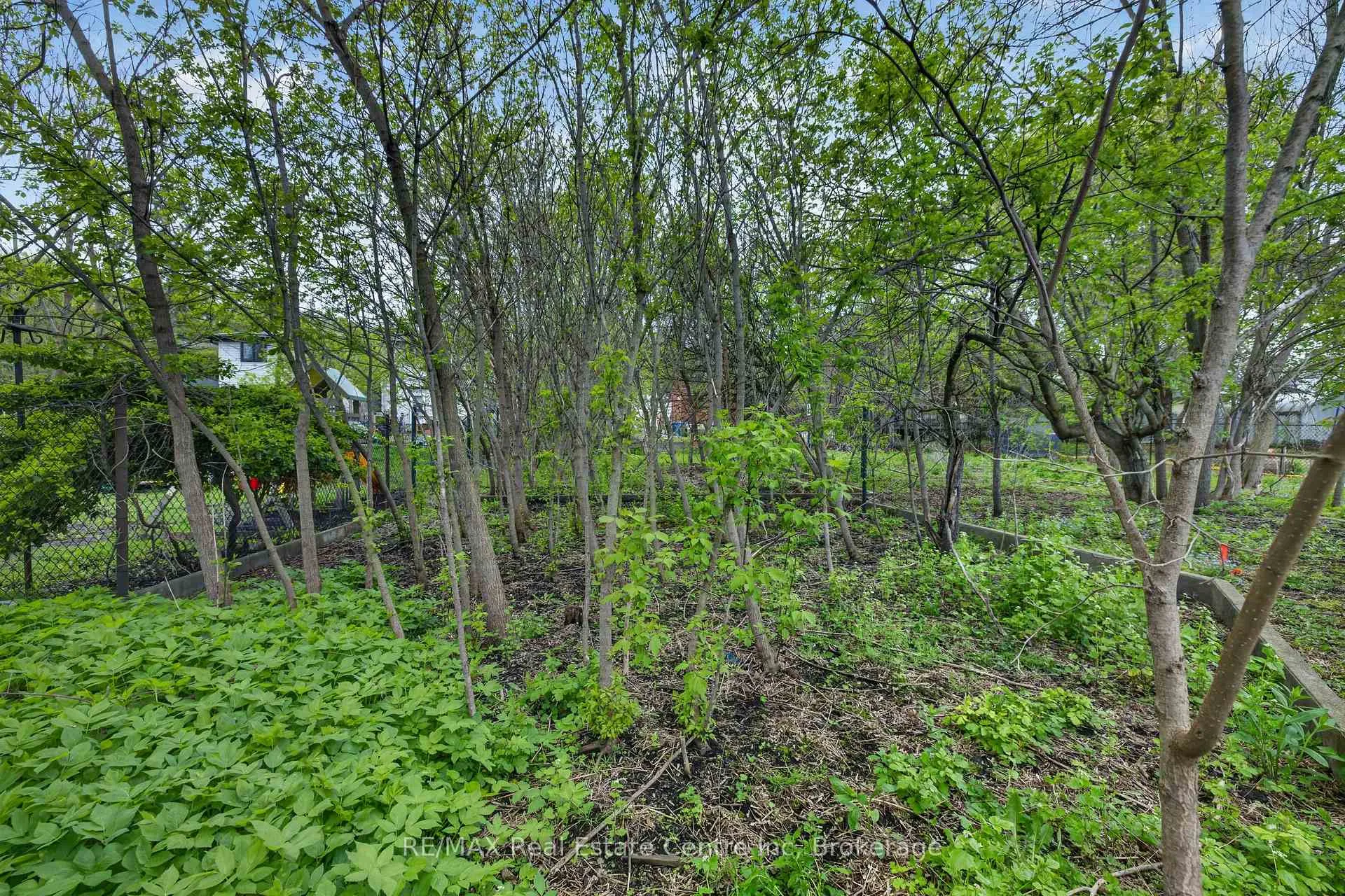 Photo 18 of 121 Elizabeth Street, Guelph, St. Patrick's Ward — HOMEH