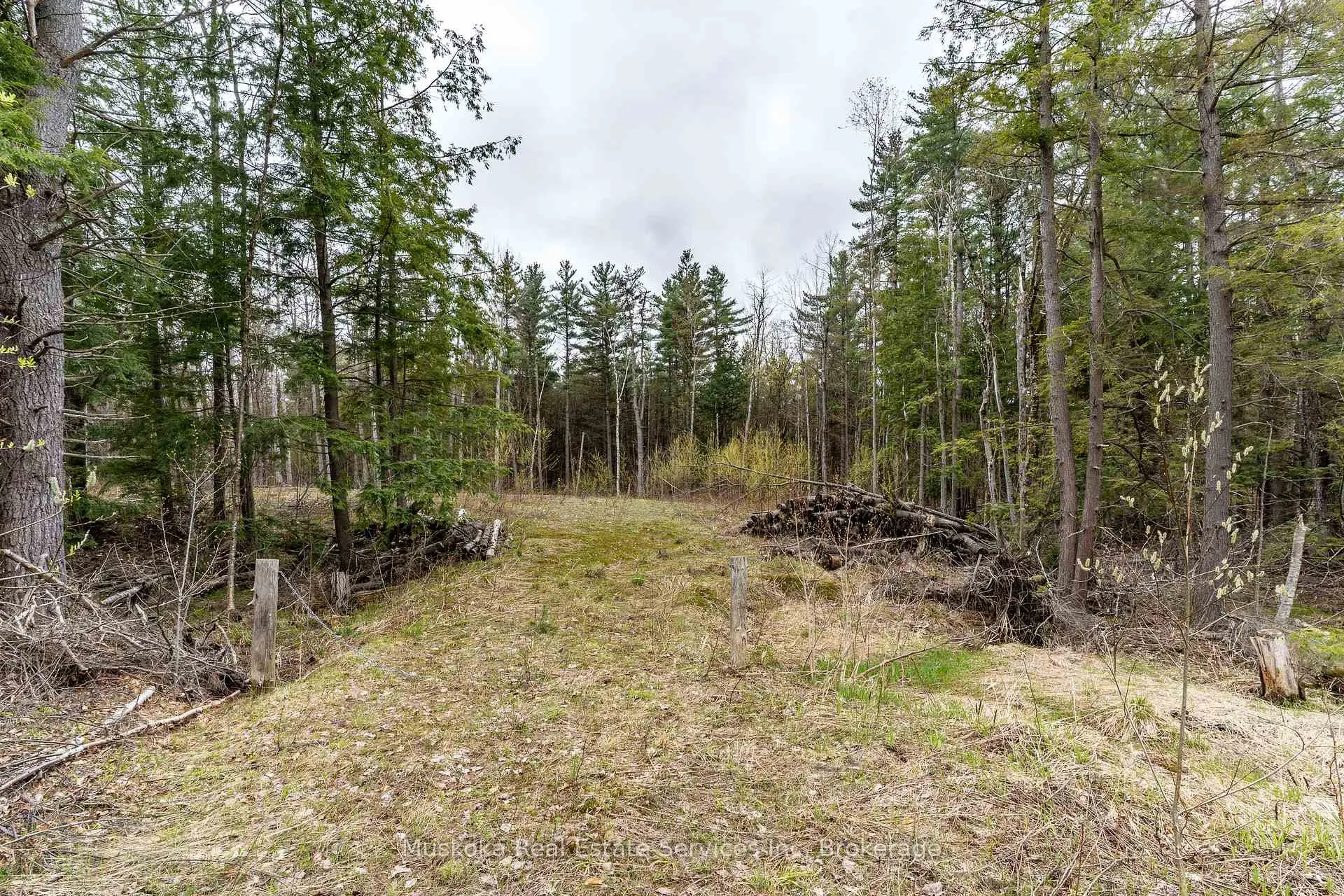 Photo 4 of 1023 Sparrow Lake Route D, Gravenhurst, Morrison — HOMEH