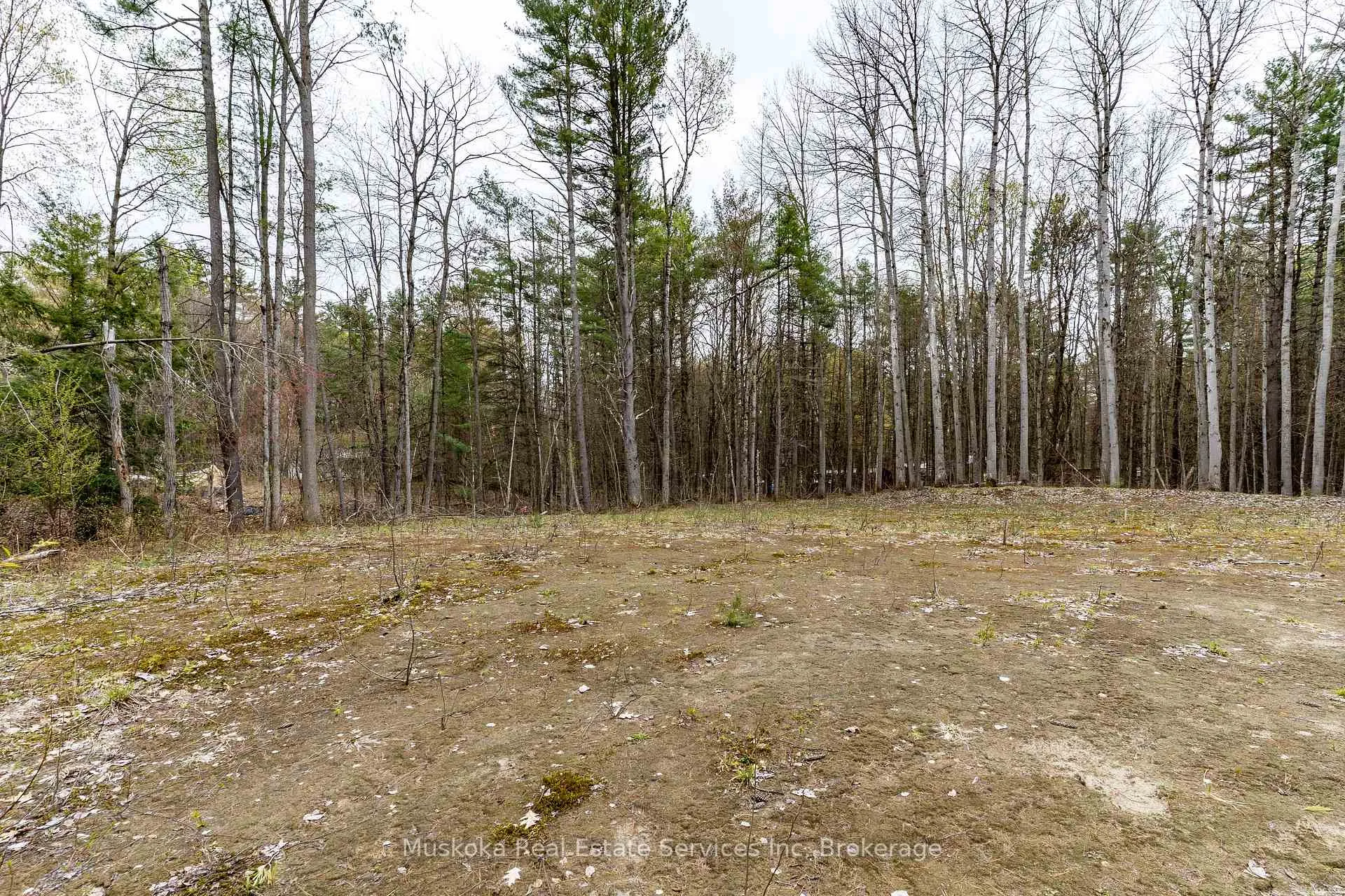 Photo 5 of 1023 Sparrow Lake Route D, Gravenhurst, Morrison — HOMEH