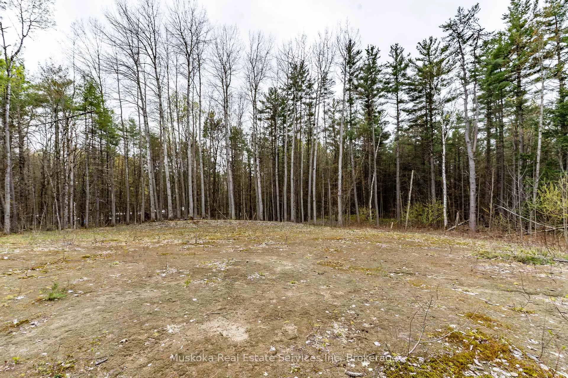 Photo 6 of 1023 Sparrow Lake Route D, Gravenhurst, Morrison — HOMEH