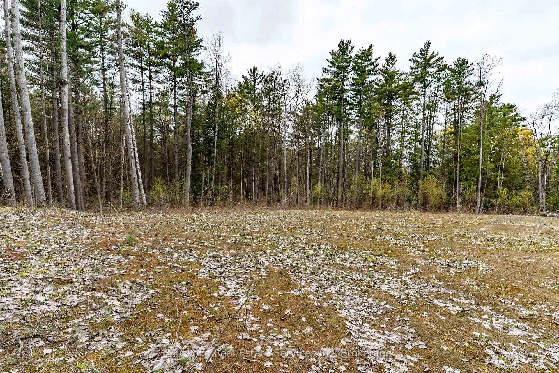Photo 7 of 1023 Sparrow Lake Route D, Gravenhurst, Morrison — HOMEH