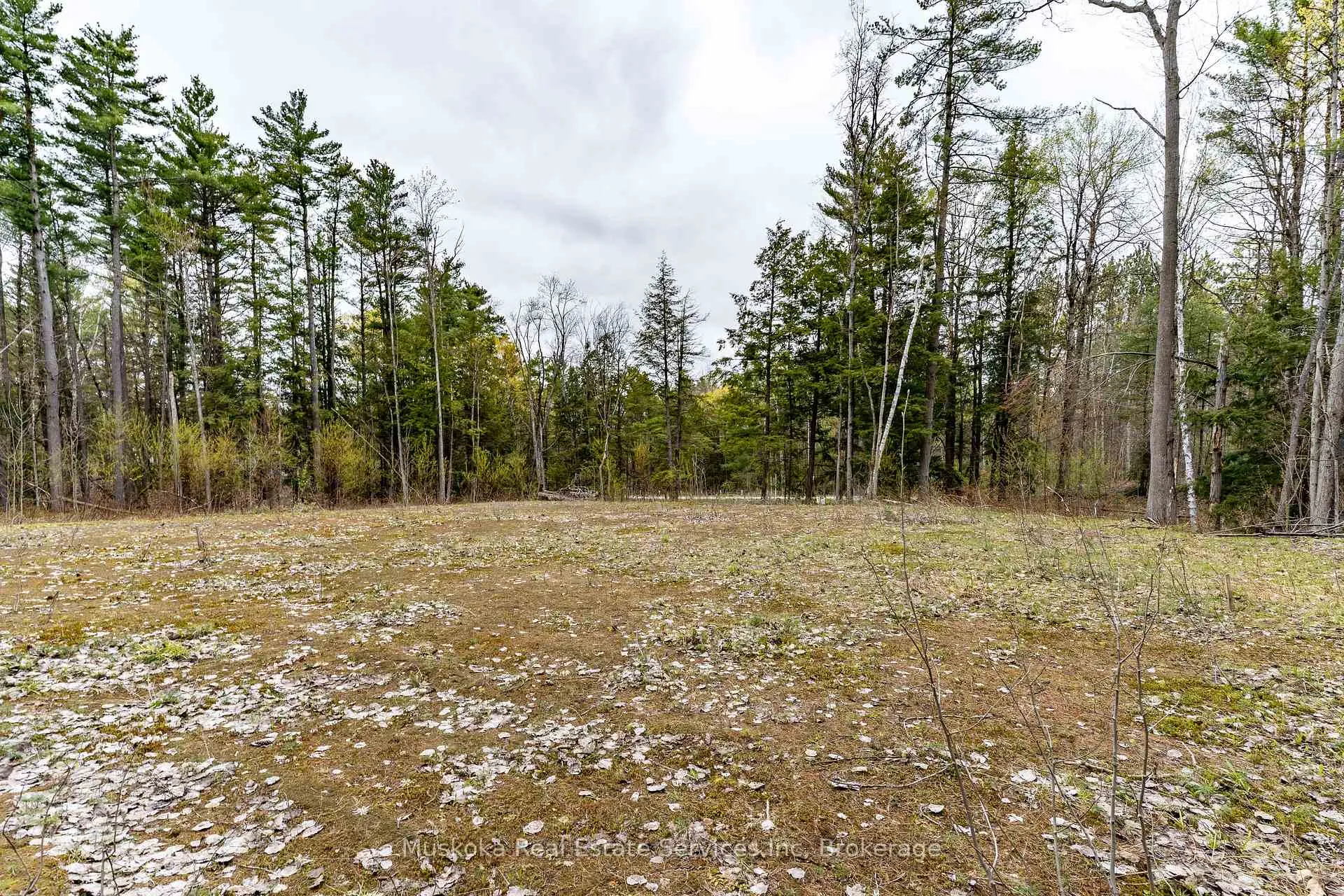 Photo 8 of 1023 Sparrow Lake Route D, Gravenhurst, Morrison — HOMEH