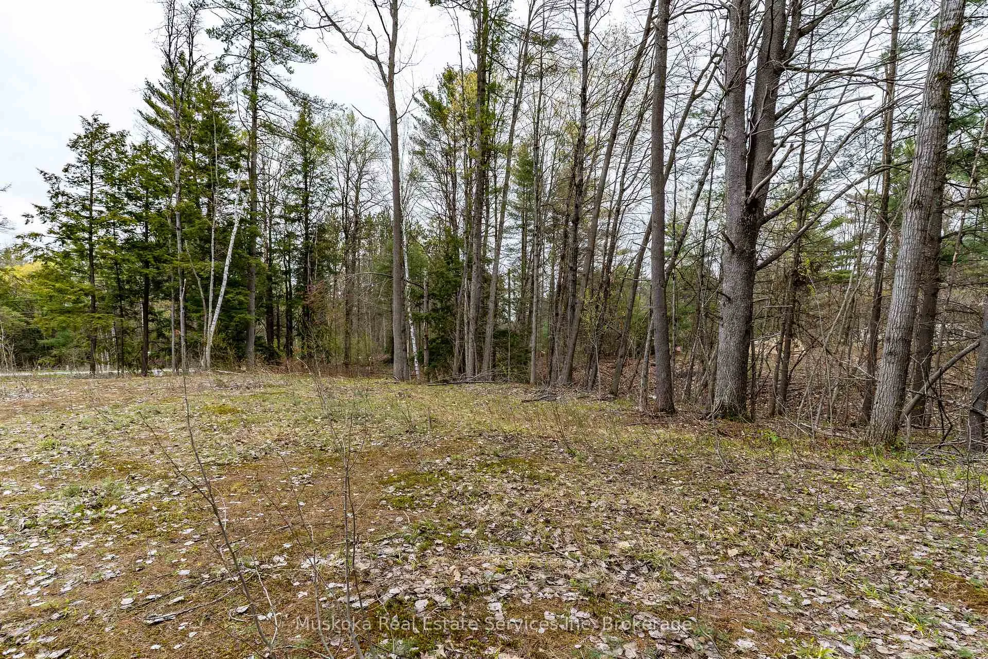 Photo 9 of 1023 Sparrow Lake Route D, Gravenhurst, Morrison — HOMEH