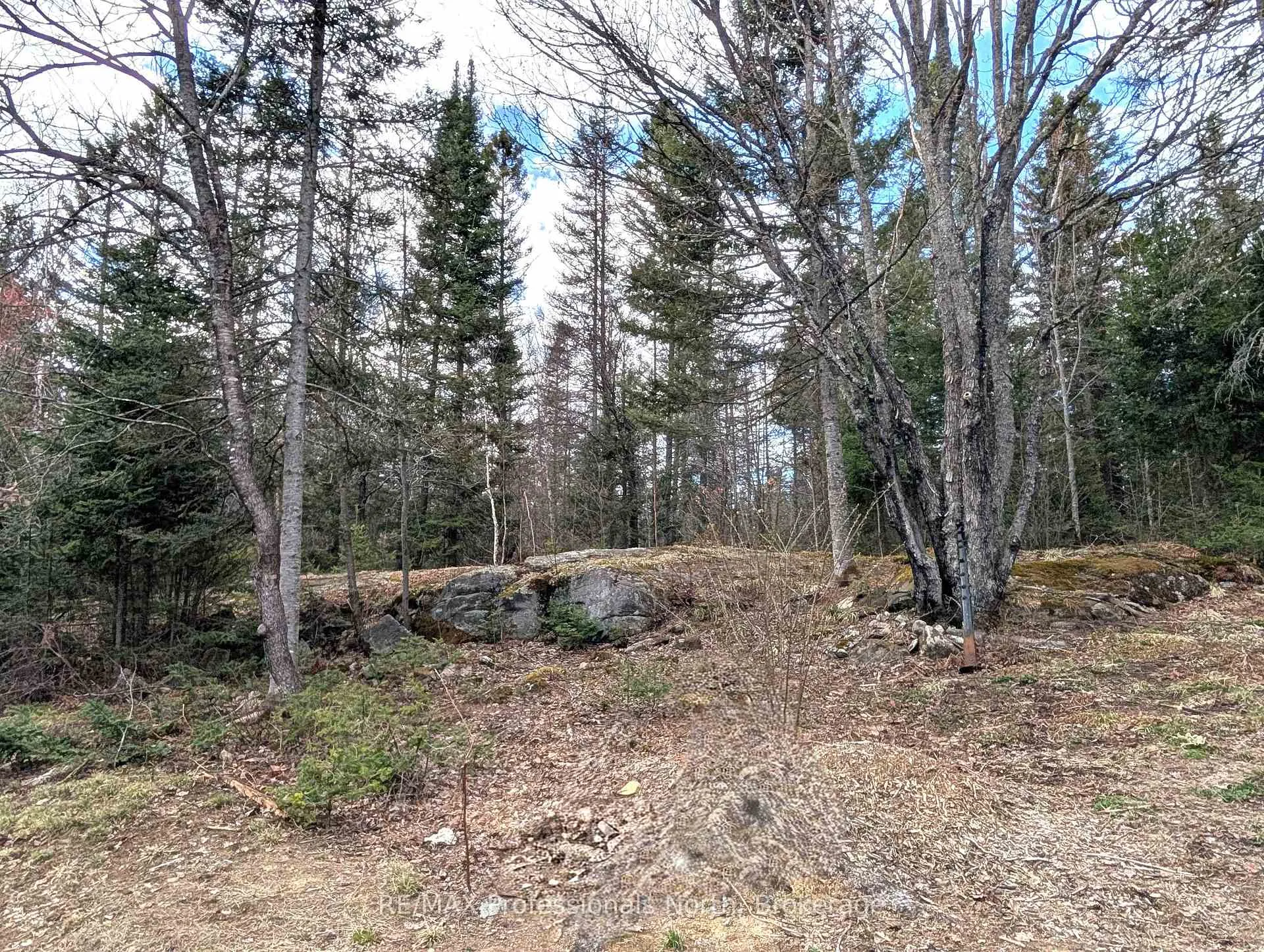 Photo 31 of 3785A Eagle Lake Road, Parry Sound Remote Area, Lount — HOMEH