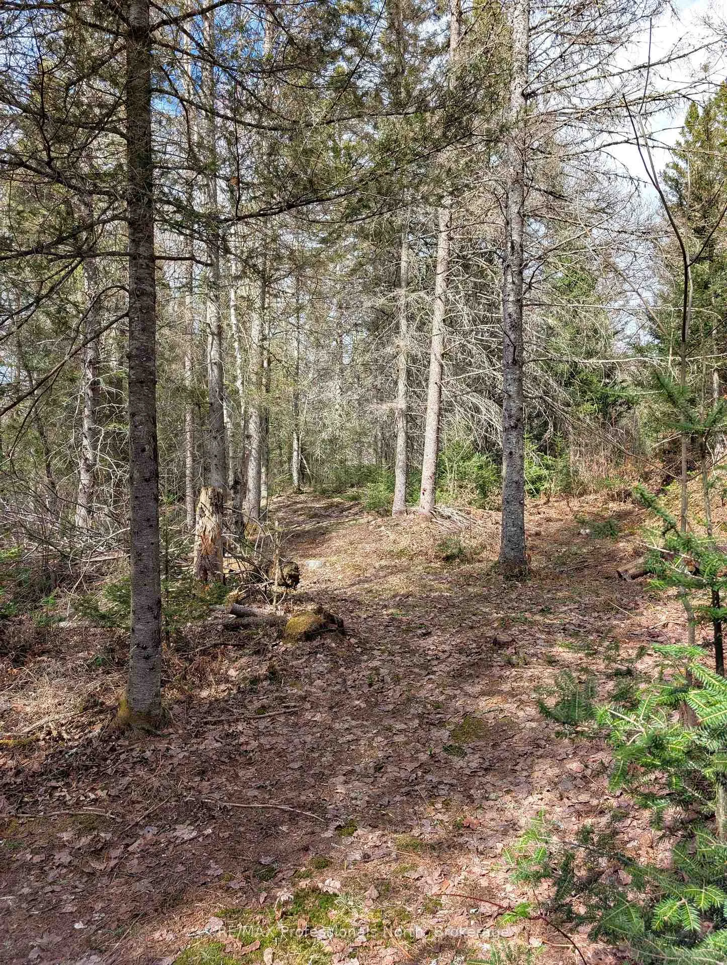Photo 32 of 3785A Eagle Lake Road, Parry Sound Remote Area, Lount — HOMEH