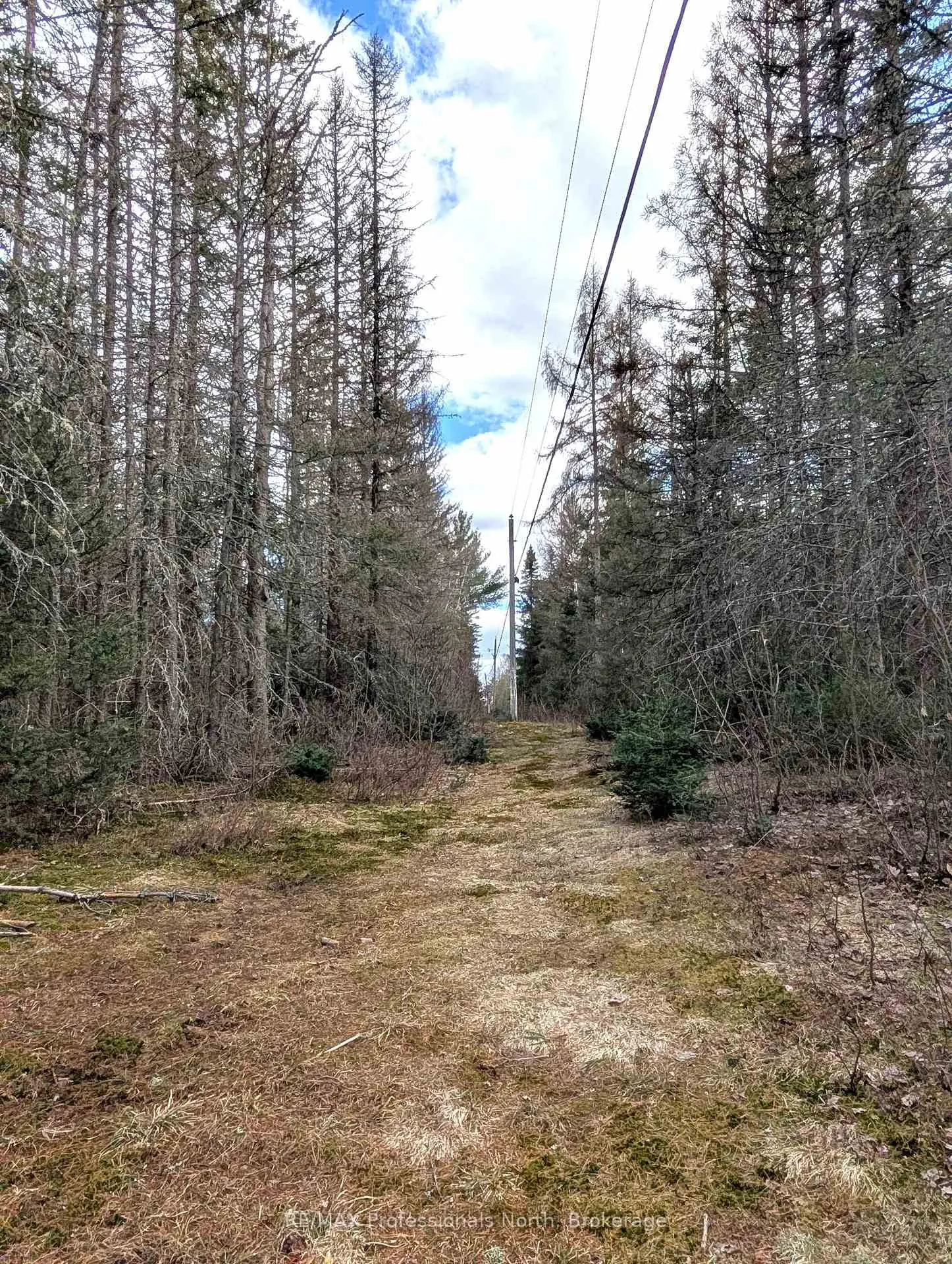 Photo 33 of 3785A Eagle Lake Road, Parry Sound Remote Area, Lount — HOMEH
