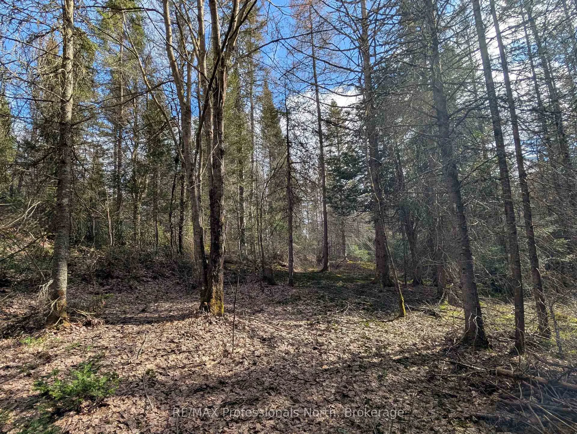 Photo 35 of 3785A Eagle Lake Road, Parry Sound Remote Area, Lount — HOMEH