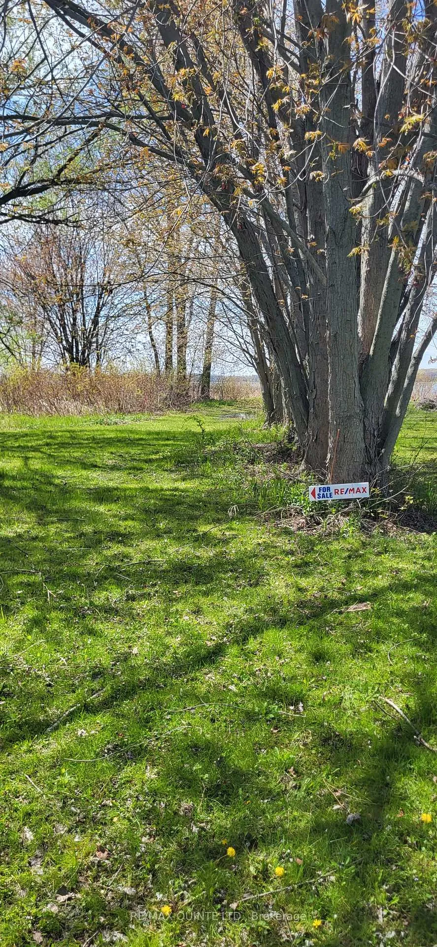 Photo 33 of 1242 County Road 12, Prince Edward County, Hallowell Ward — HOMEH