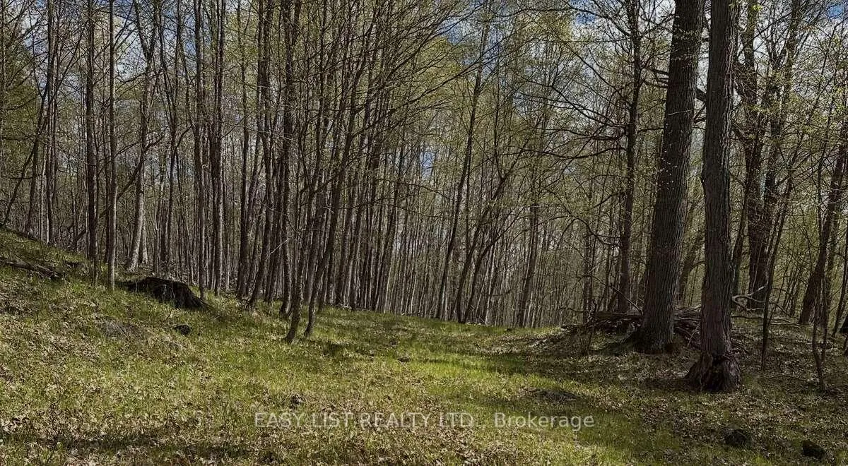 Photo 3 of 1040 Concession 7, Lanark Highlands, Lanark Highlands (Dalhousie) Twp — HOMEH