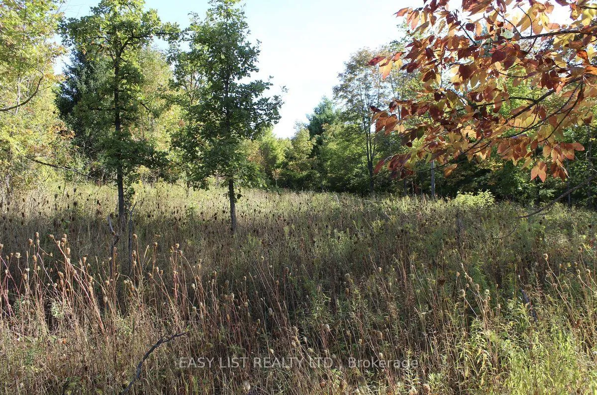 Photo 4 of 1040 Concession 7, Lanark Highlands, Lanark Highlands (Dalhousie) Twp — HOMEH